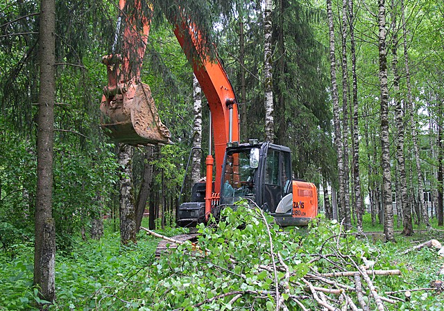 stroitel 01