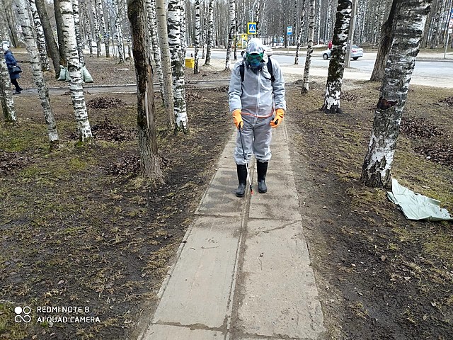 obrabotka 06