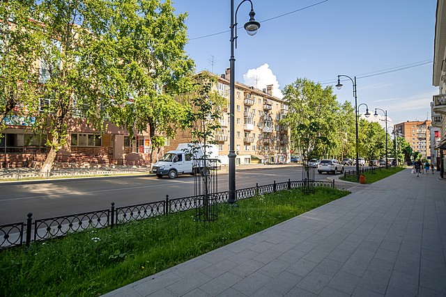 vyrubka derevyev 02