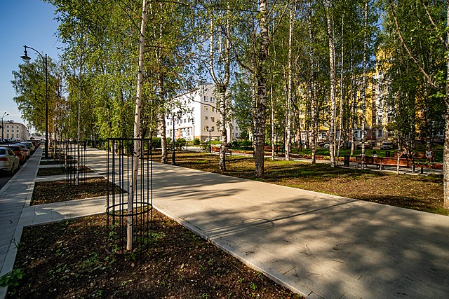 vyrubka derevyev 04