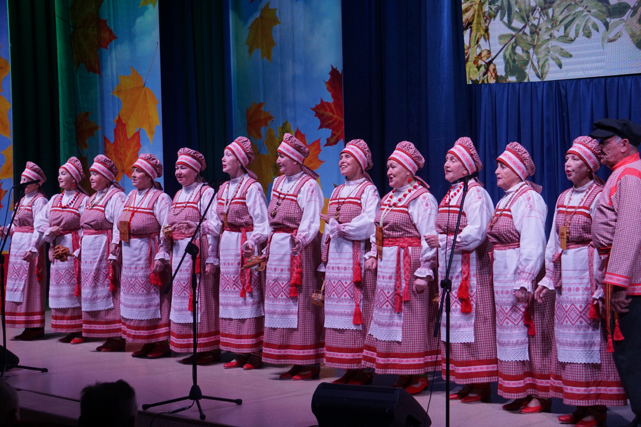 Сегодня прошёл концерт, посвященный Международному дню пожилых людей
