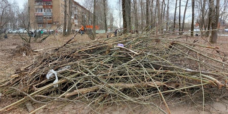 Не все организации откликнулись на призыв выйти на общегородской субботник в Сыктывкаре
