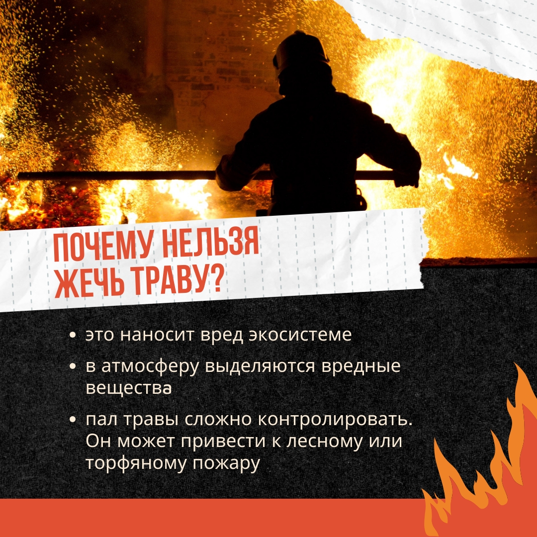 Пал травы - это прямая угроза лесному хозяйству и жизни людей!  