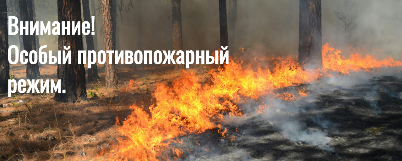 С 10 апреля в Сыктывкаре введен особый противопожарный режим